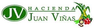 Fundación Juan Viñas 2017
